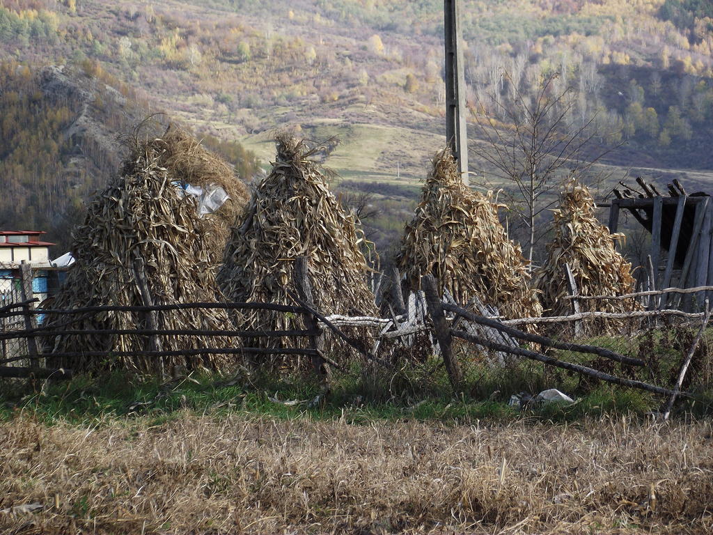 Pensiunea Valea Lupului Valea Lupului  Buitenkant foto