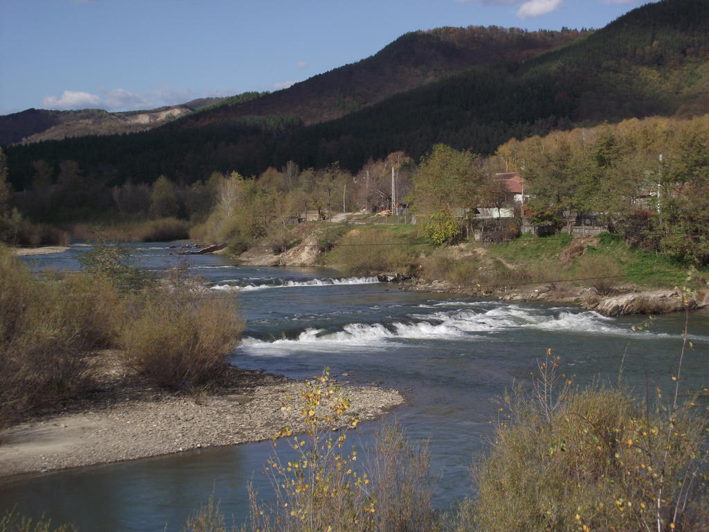Pensiunea Valea Lupului Valea Lupului  Buitenkant foto